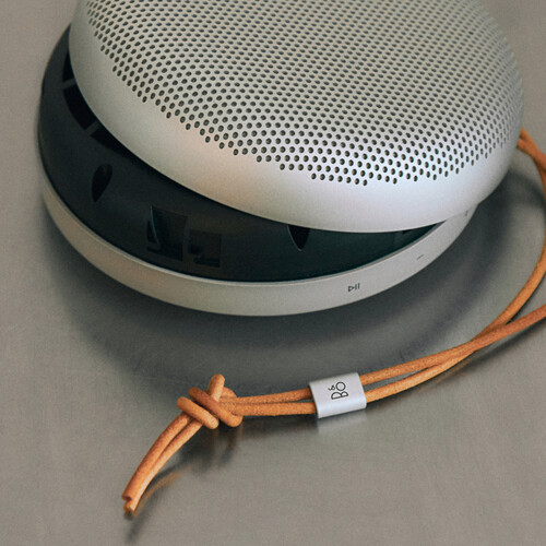 Bang & Olufsen Beosound A1 (3rd Gen)